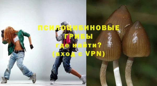 mdma Краснослободск