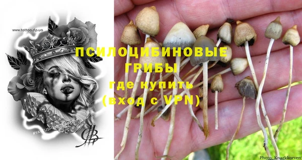 меф Корсаков
